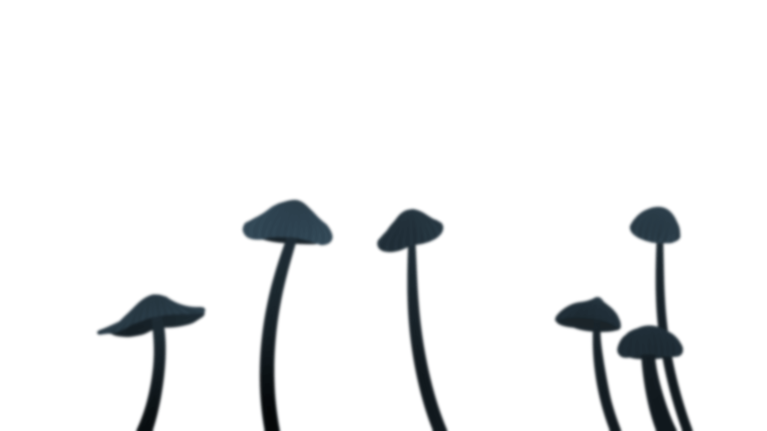 spiritwell game background mushrooms small